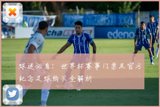 球迷必看：世界杯赛事门票及官方纪念足球购买全解析