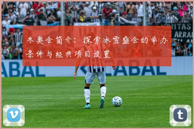 冬奥会简介：探索冰雪盛会的举办条件与经典项目设置